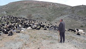 Sarıkeçeli yörüklerinin göçü Karaman'a ulaştı