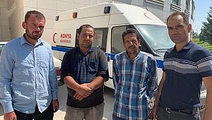 Arılar tarım işçilerine saldırdı: 19 işçi hastaneye kaldırıldı