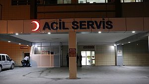 Hayvan otlatma yüzünden anne ile oğlunu öldürdü, kızını yaraladı