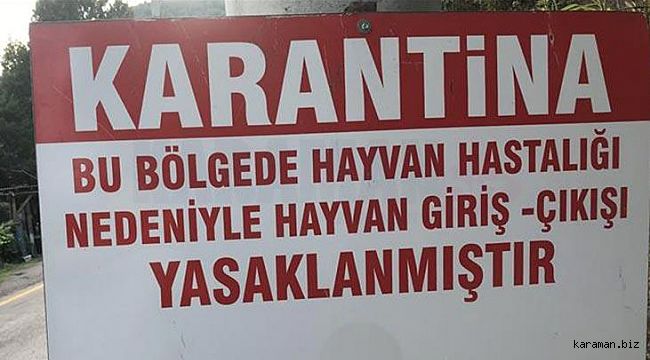 Hayvan üreticileri dikkat: O ilin ilçesine küçükbaş hayvan giriş ve çıkışı yasaklandı