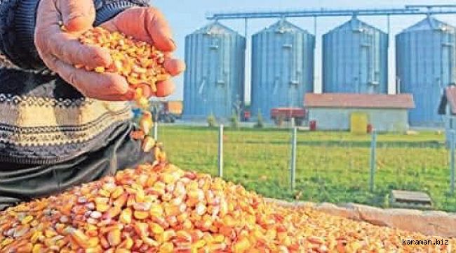 Bayram uyardı: mısırınızı satarken acele etmeyin
