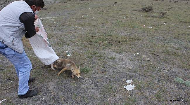 Günlerce bekledi. Okul bahçesindeki çiçeklere zarar vereni görünce o'da hayret etti