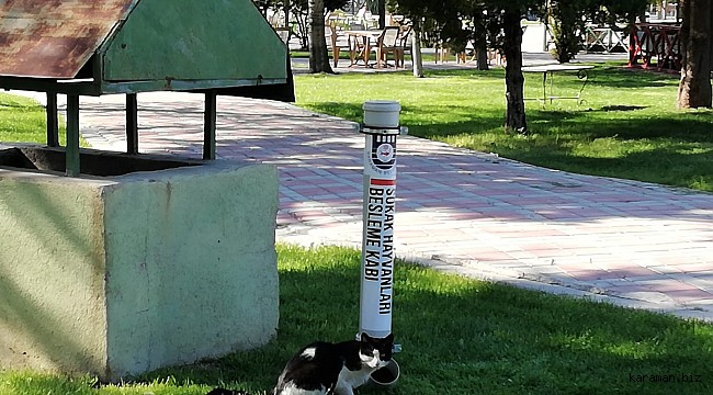 Karaman belediyesi sokak hayvanlarını unutmadı