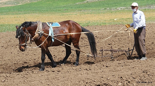 Konya'da çiftçilerin