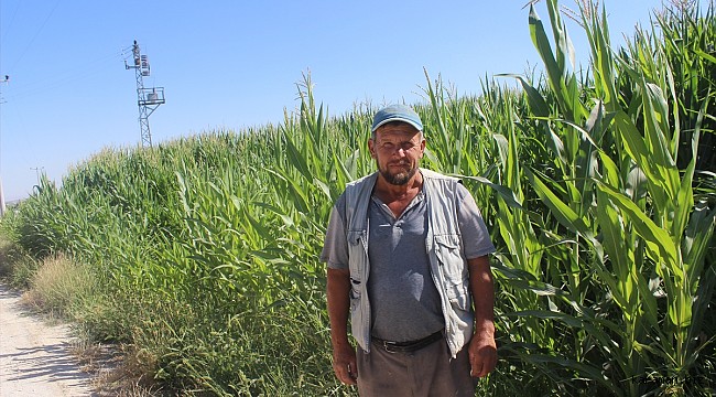 Karapınar'da mısır tarlasına giden çiftçiye obruk sürprizi