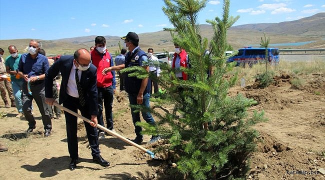 Şarkışla'da 15 Temmuz Hatıra Ormanına 100 fidan dikildi