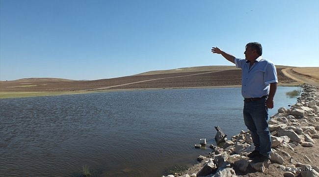 Ulaş TİGEM'de koyunların sulanması için göletler yapıldı
