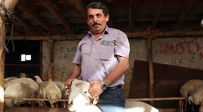 Yaman küçükbaş kurban üreticilerini sahte para ve dolandırıcılara karşı uyardı