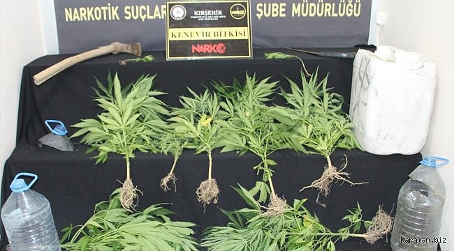 Kırşehir'de uyuşturucu operasyonunda 8 şüpheli yakalandı