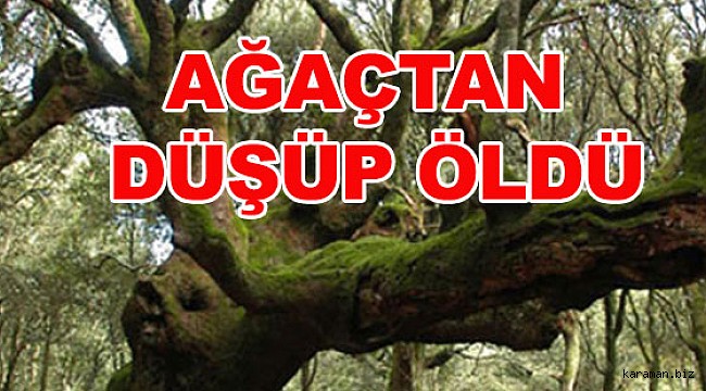 Ağaçtan düşen adam saatlerce sesini duyurmaya çalıştı. hastaneye kaldırıldı ama hayatını kaybetti