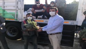 Hüyük'ün Çamlıca Dağları lavanta kokacak