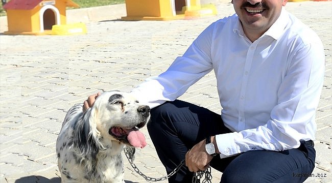 Konya Büyükşehir Başkan Altay, Dünya Hayvanları Koruma Günü'nü kutladı