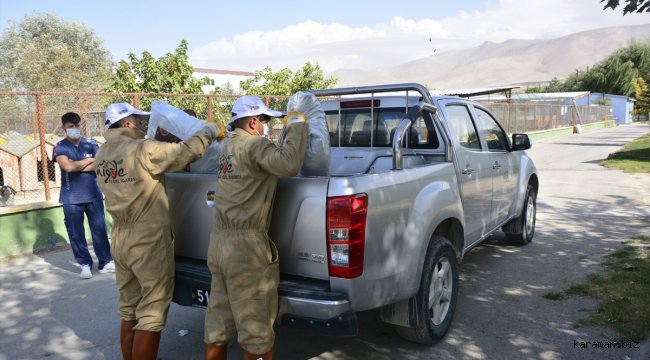 Niğde'de sokak hayvanlarının bakımı için protokol imzalandı
