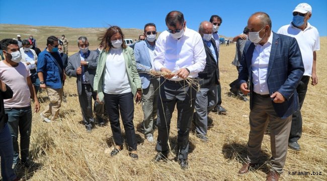 Sivas'ta don, dolu ve selden zarar gören çiftçilere 8 milyon lira ödenek