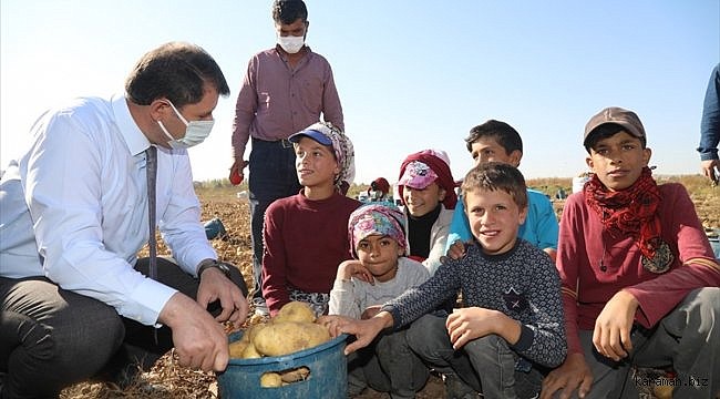 Sivas Valisi Ayhan'dan tarlada çalışan çocuklara eğitim müjdesi