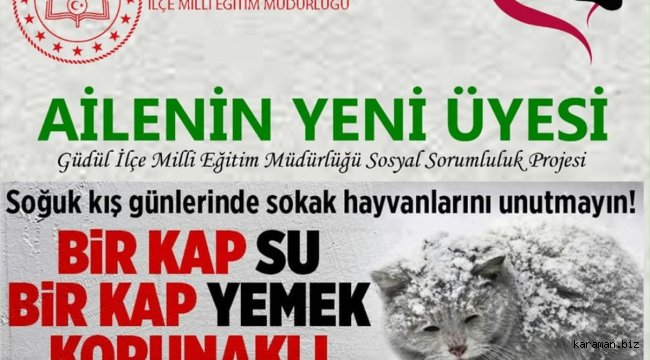Güdül'de sokak hayvanları için
