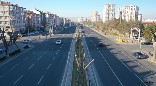 Kayseri Büyükşehir Belediyesinden ağaç bakım ve budama çalışması