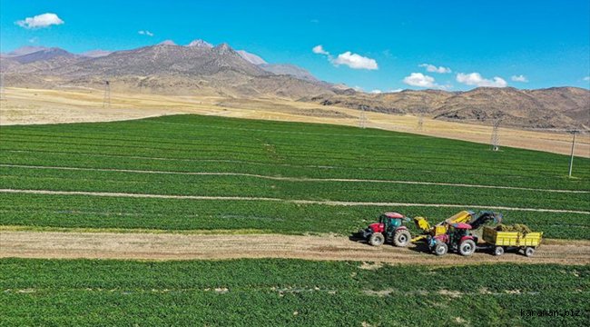 Kayseri, sertifikalı çilek fidesi üretiminde iddialı