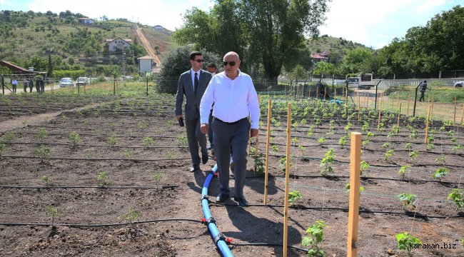 Keçiören Belediyesi kış bostanından ilk hasadı bekliyor