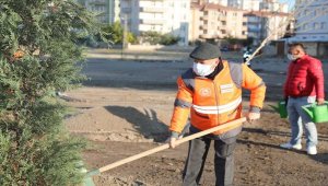 Kocasinan Belediyesinde ağaçlandırma çalışmaları