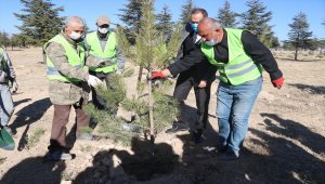 Niğde'de görev yapan 3 bin 422 öğretmen için fidan dikildi
