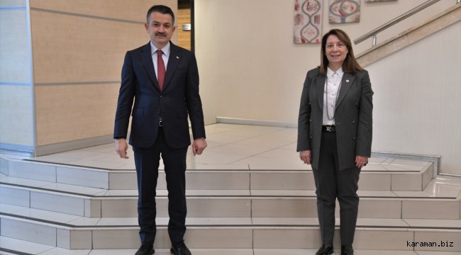 AK Parti Eskişehir Milletvekili Günay'dan Mihalıççık Güreş Göleti açıklaması