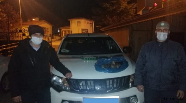 Beyşehir'de yasa dışı ördek avına ceza