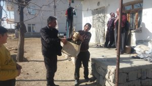 Kayseri'de çiftçinin yaralı halde bulduğu kızıl şahin tedavi altına alındı