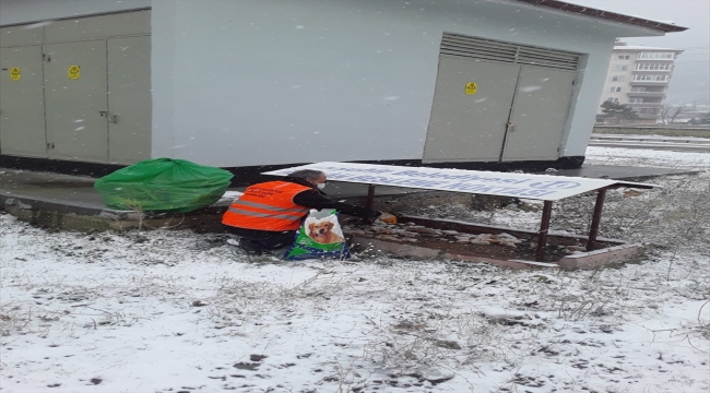 Akşehir Belediyesi sokak hayvanlarını beslemeyi sürdürüyor