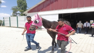 Türkiye'nin