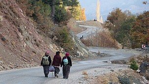 Bu mantar çok özel. Toroslarda zorlukla toplanıyor, Japonyaya gönderiliyor.