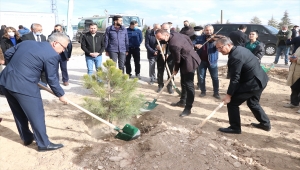 Niğde'de görev yapan bin öğretmen için fidan dikildi