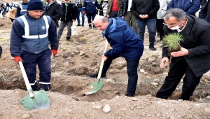 Selçuklu'da 3 bin fidan toprakla buluştu