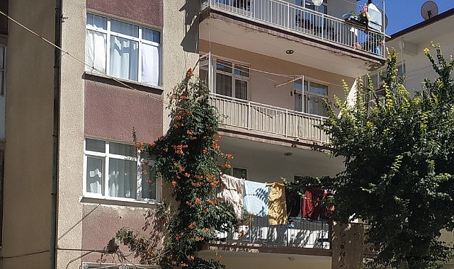Annesinin emzirip yatırdığı 6 aylık Aliye bebek melek oldu