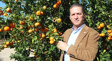 'İlaç kalıntılı mandalinalar Bulgaristan sınırında imha edildi'