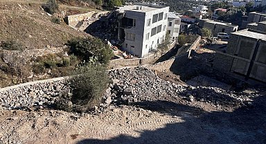 Şarkıcı Suavi'nin arazisinde kesilen ağaçlarla ilgili inceleme