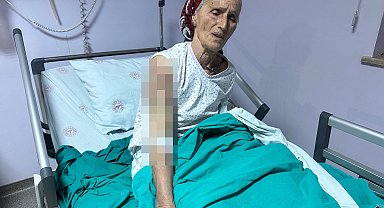 65 yaşındaki kadına 7 köpek saldırdı; vücuduna 50 dikiş atıldı