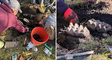 ABD'de bir evin bahçesinde mastodon fosili bulundu