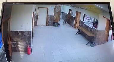 Ağabeyi, 2 öğretmeni döven kadın öğretmen açığa alındı