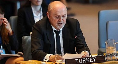 AGİT'in yeni genel sekreteri Feridun Sinirlioğlu oldu