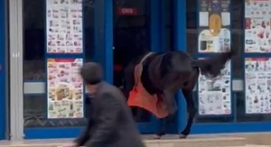 Atını marketin kapısına bağladı