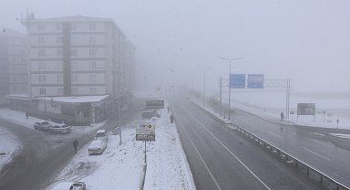 Bitlis'te yoğun sis