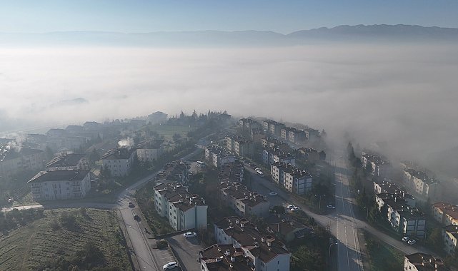 Düzce'de sis etkili oldu