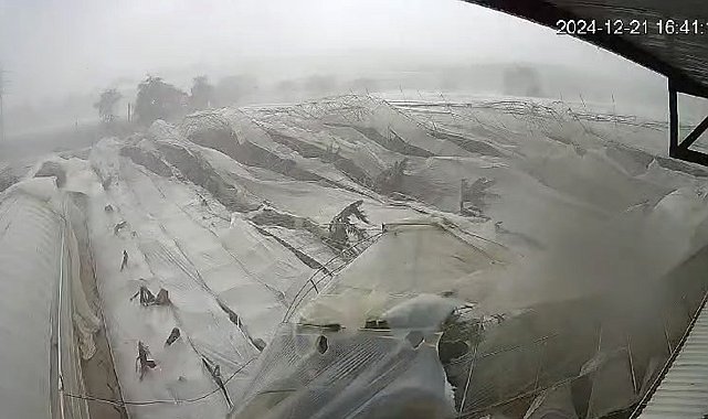 Hortum 5 muz serasını yıktı, o anlar kamerada