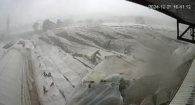 Hortum 5 muz serasını yıktı, o anlar kamerada