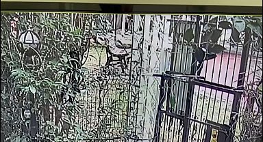 İstanbul - Esenyurt'ta 79 yaşındaki adam, uyardığı çocuk tarafından darbedilerek öldürüldü