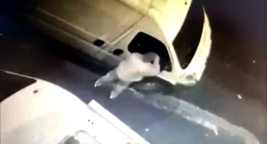 İstanbul - Esenyurt'ta minibüsten 38 saniyede hırsızlık kamerada