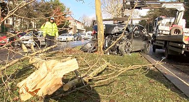 İstanbul - Sarıyer'de 2 otomobile vurduktan sonra ağaca çarptı: 2 yaralı