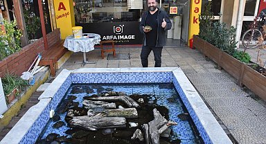 İzmirli fotoğrafçı, yılda 500 kaplumbağayı dükkanın önündeki havuzda besliyor