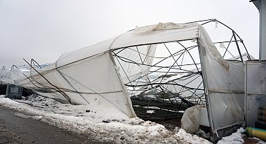 Kar birikintisi 50 dönüm karanfil serasını çökertti
